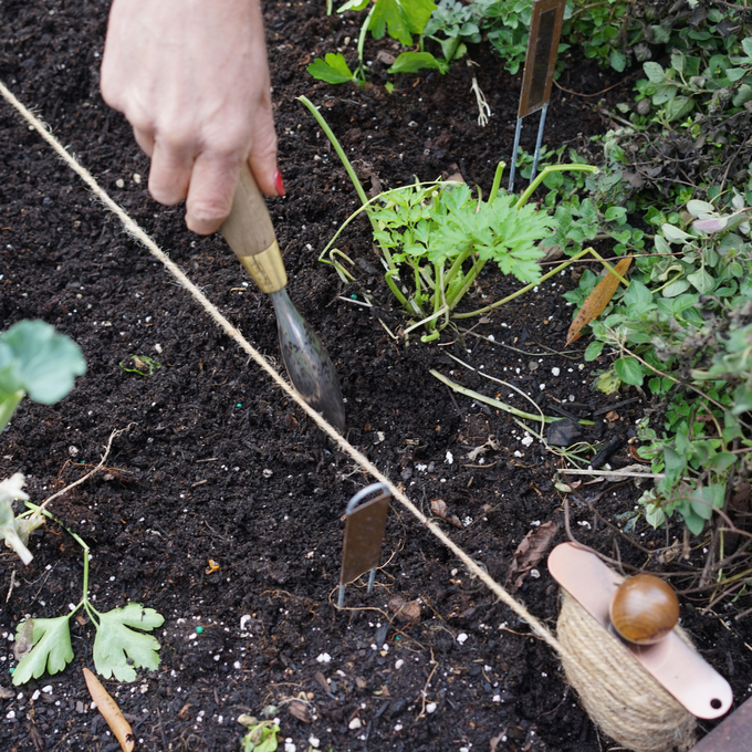 Copper-Plated Planting Line