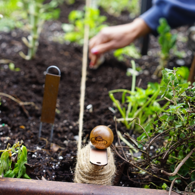 Copper-Plated Planting Line