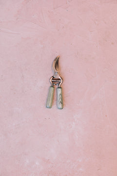Pruning shears on a pink textured background