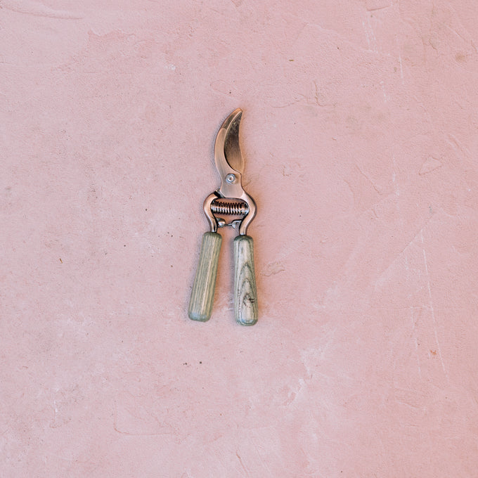 Pruning shears on a pink textured background