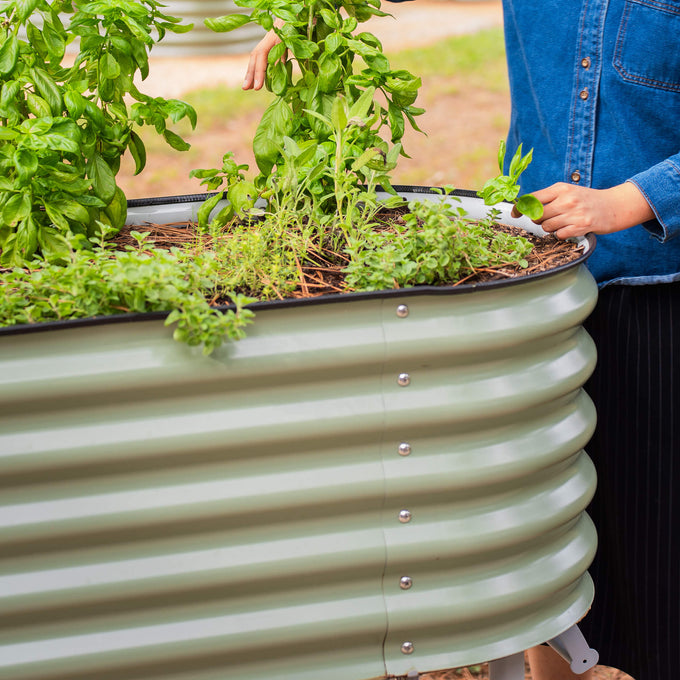 Advanced Elevated Garden Bed