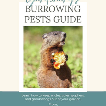 Burrowing Pests Guide Booklet