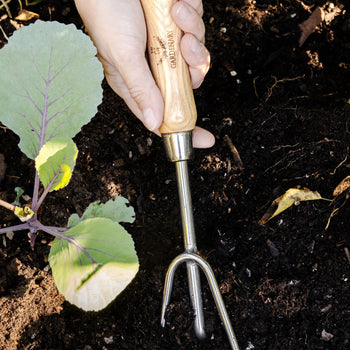 Gardenary Cultivator