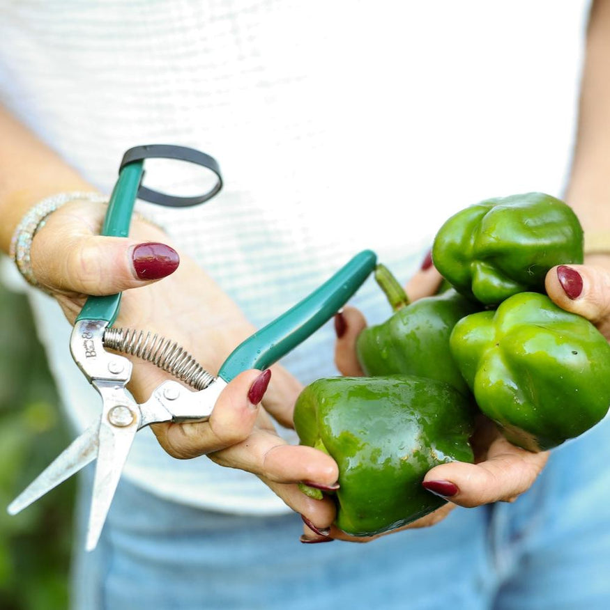 Flower and Fruit Snips