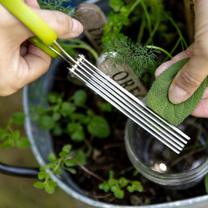 Herb Scissors