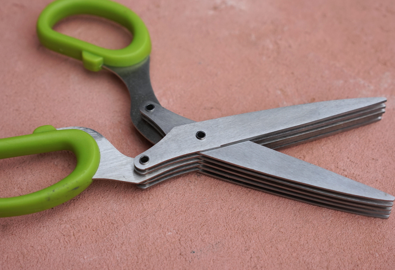 Herb Scissors