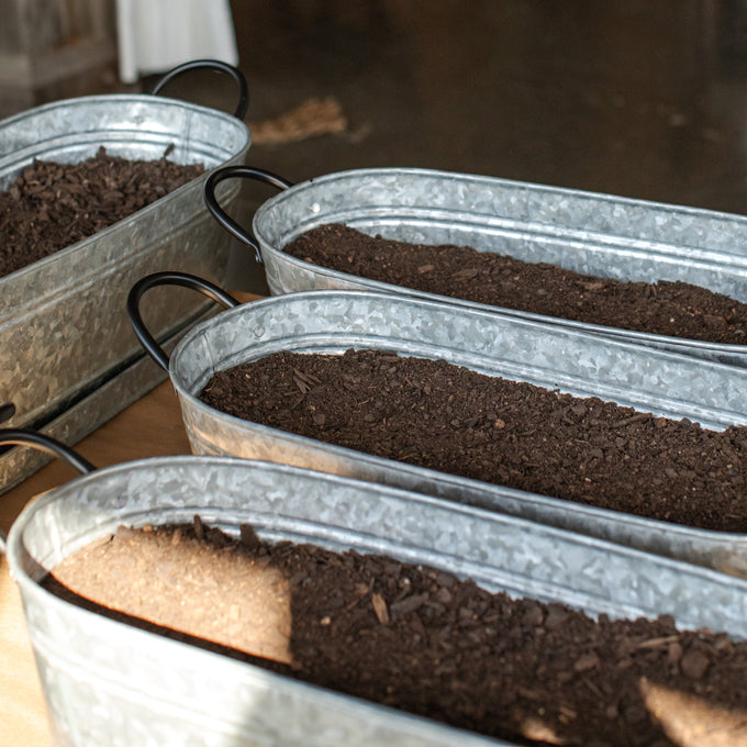 Herb Container Garden