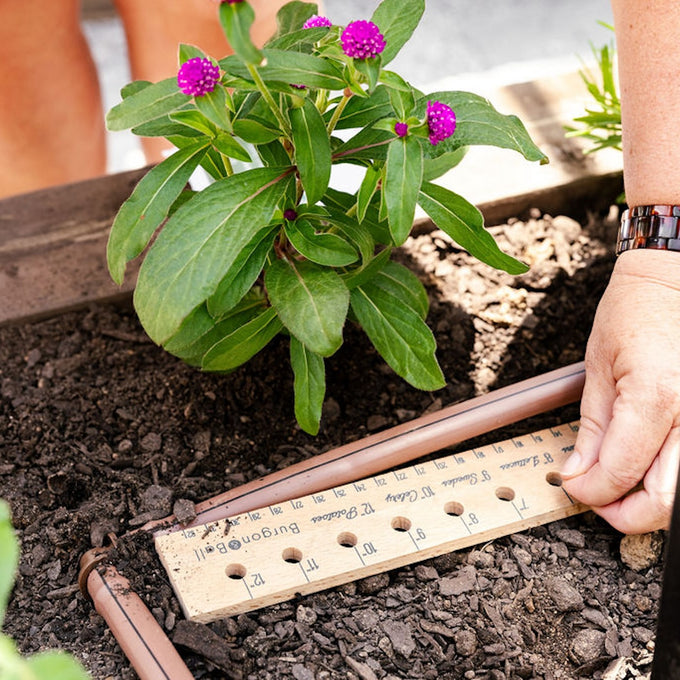 Wooden Planting Ruler