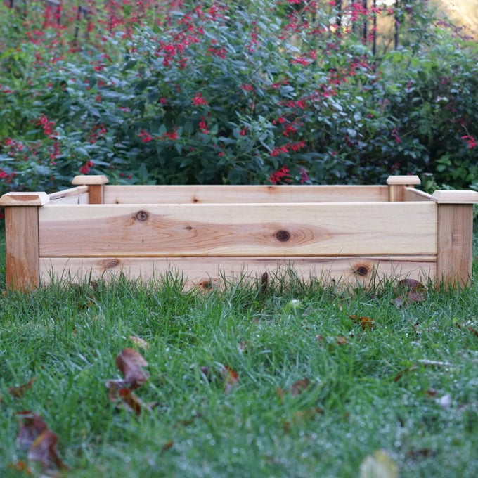 Simple Salad Box