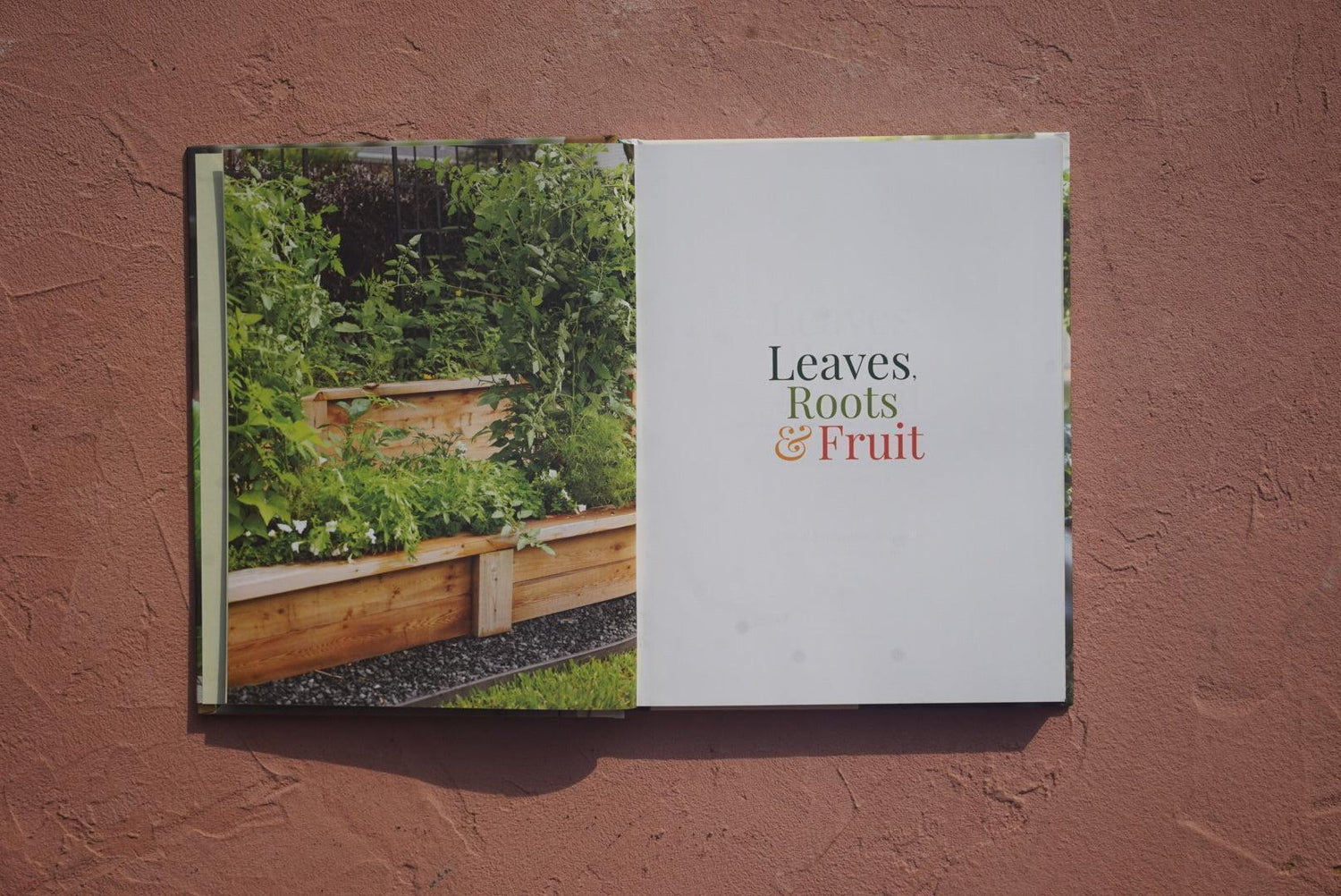 Leaves, Roots and Fruit Book by Nicole Burke
