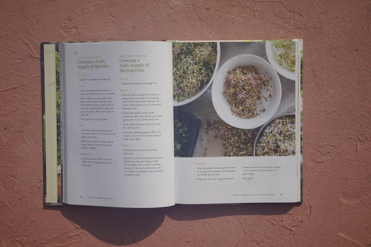 Leaves, Roots and Fruit Book by Nicole Burke