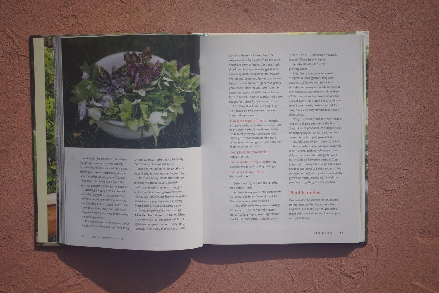 Leaves, Roots and Fruit Book by Nicole Burke