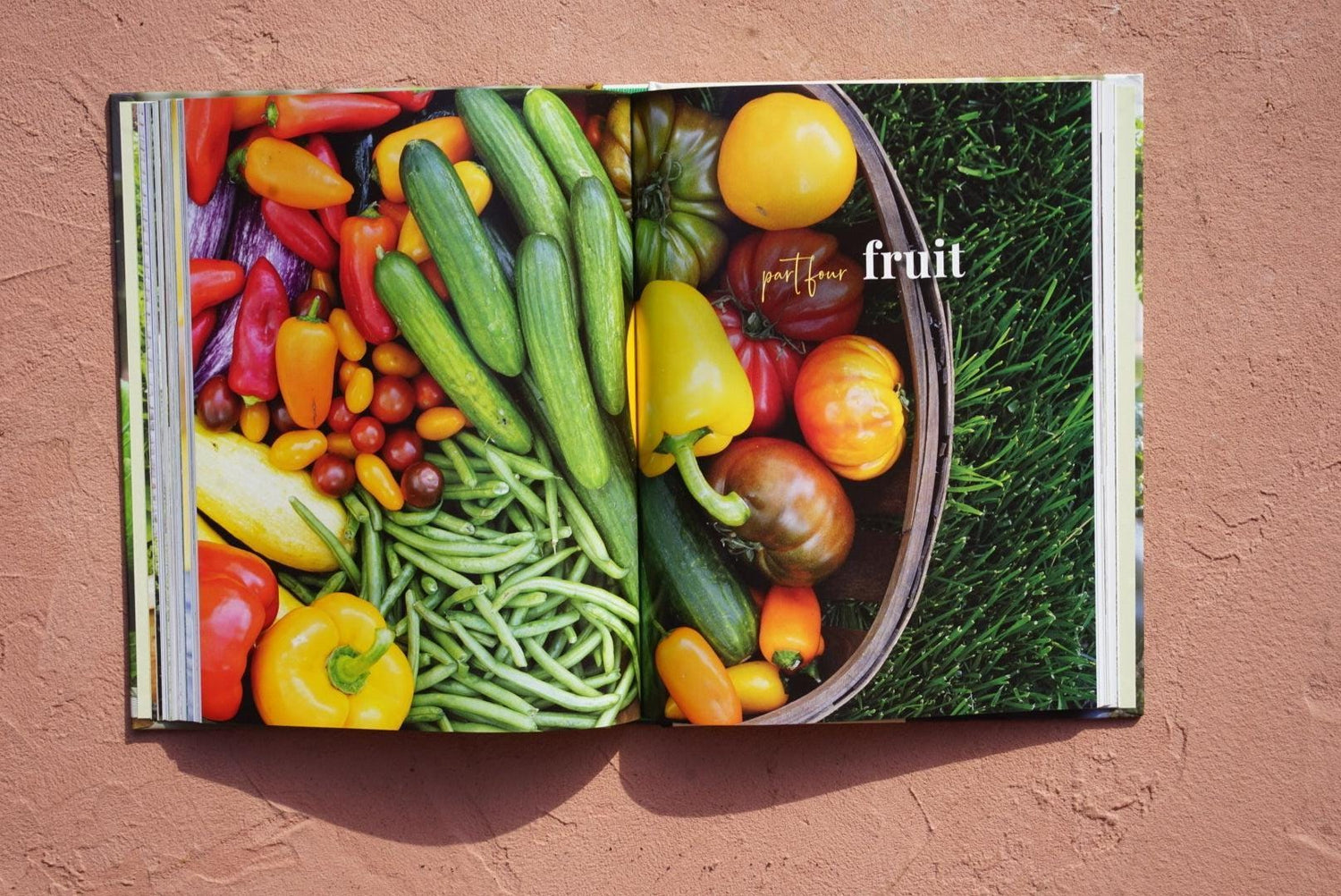 Leaves, Roots and Fruit Book by Nicole Burke
