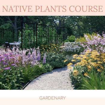 The Native Plant Course