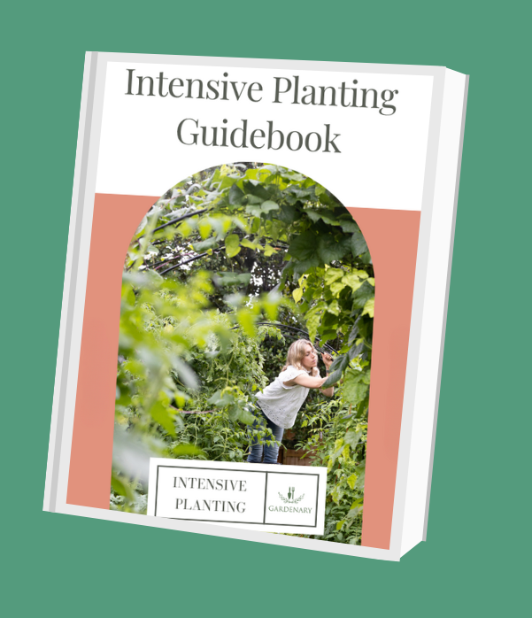 Intensive Planting Ebook