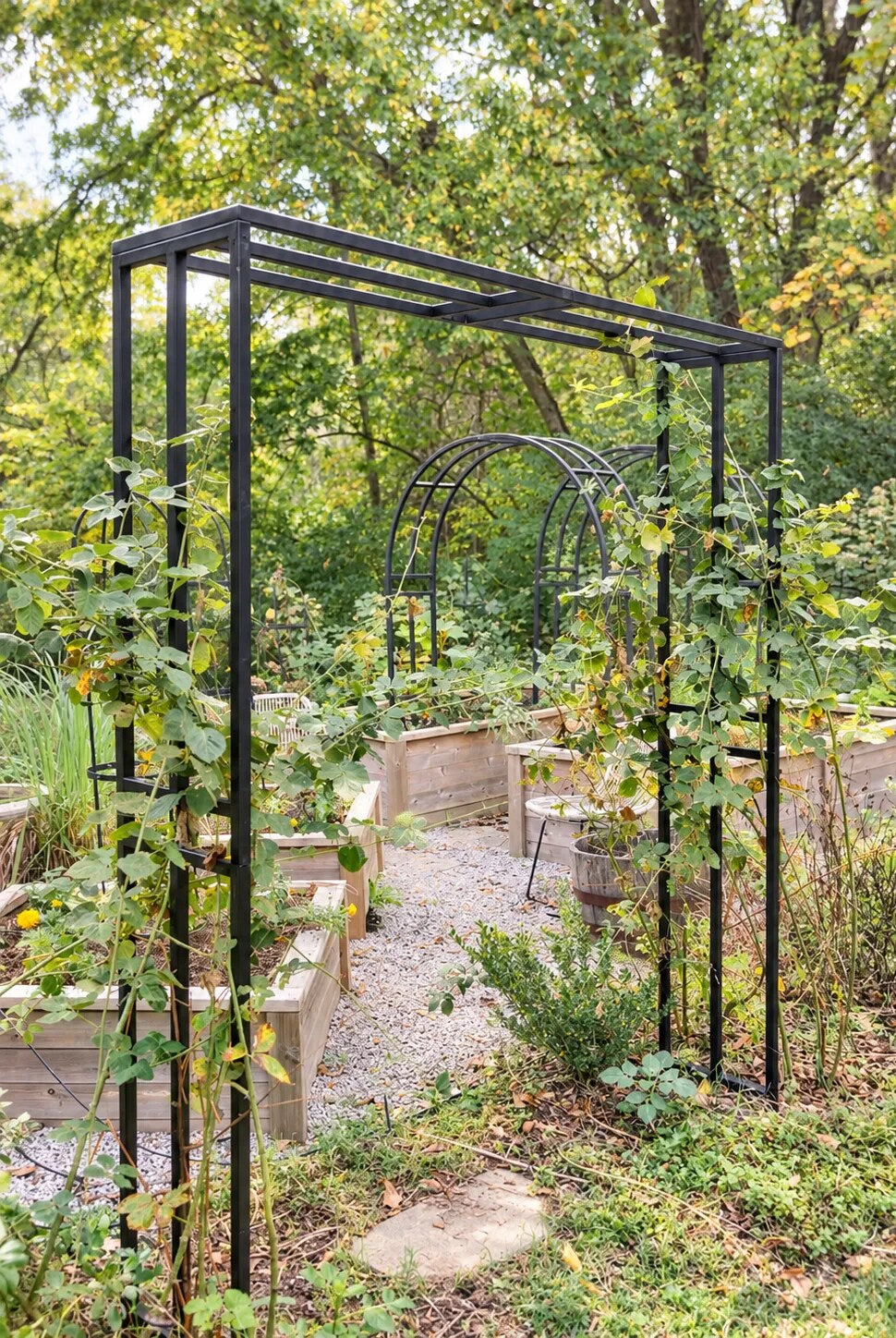 Manhattan Arch Trellis in Nicole's garden
