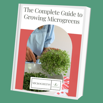 Complete Guide to Growing Microgreens