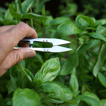 Mini Sharp Pruner