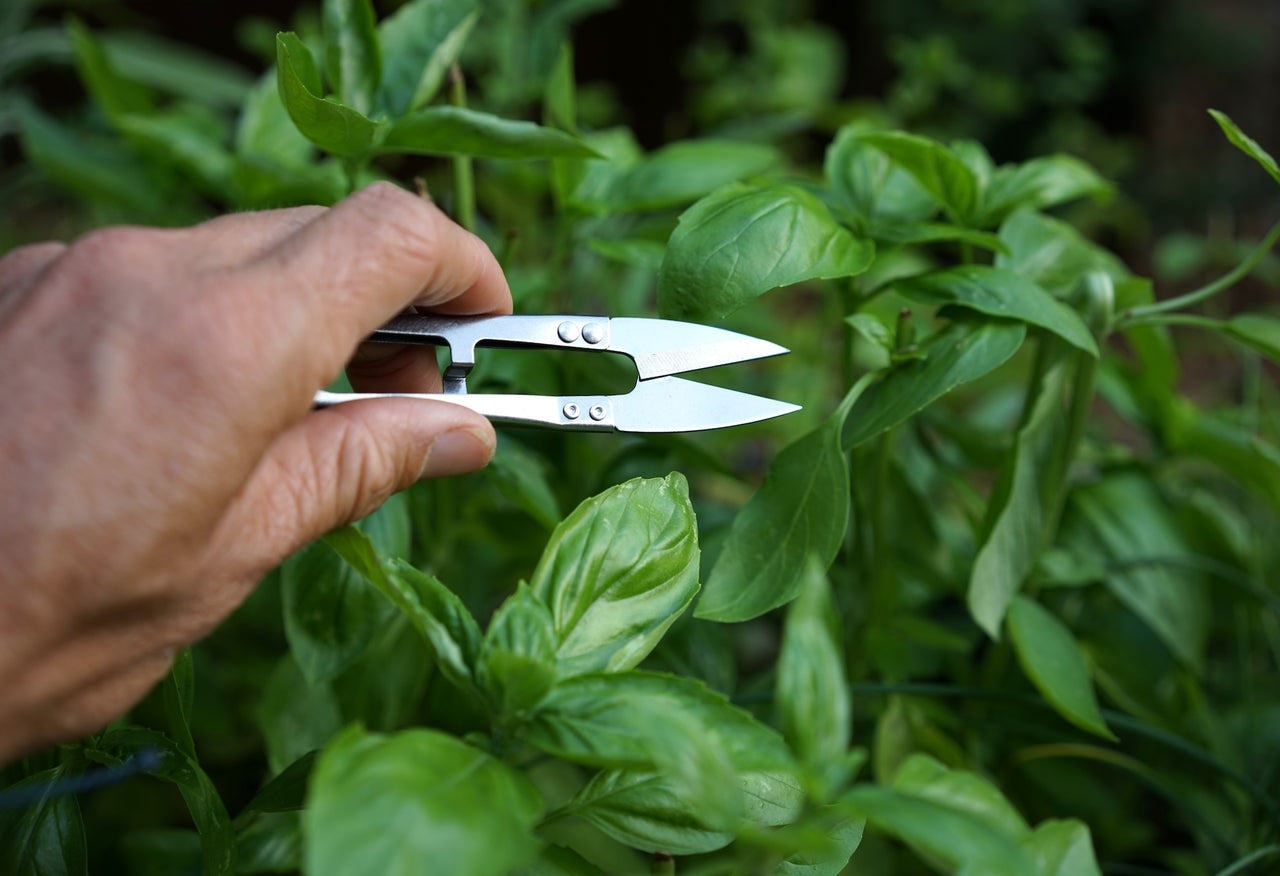 Mini Sharp Pruner