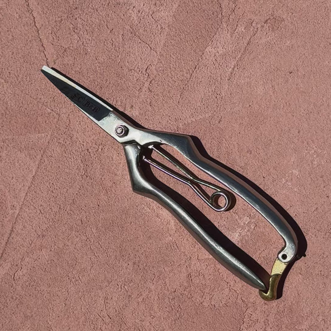 Stainless and Brass Precision Pruning Clippers