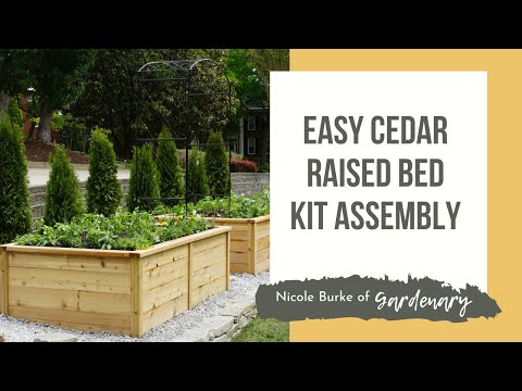 Standard Square Raised Kitchen Garden Package