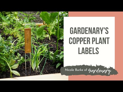 Copper 12"Hairpin Style Plant Label