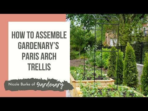 Paris Arch Trellis