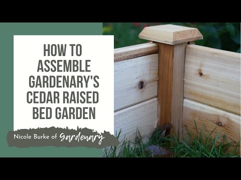 Cedar Raised Bed Garden with Caps