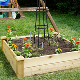 Kids' Kitchen Garden Bundle