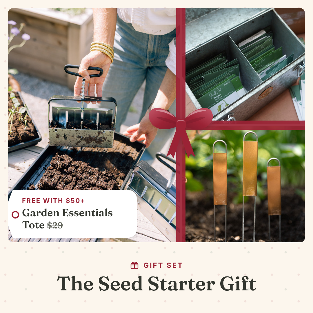 The Seed Starter Gift