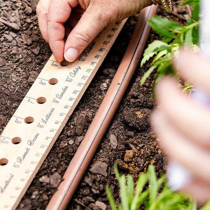 Wooden Planting Ruler