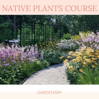 The Native Plant Course