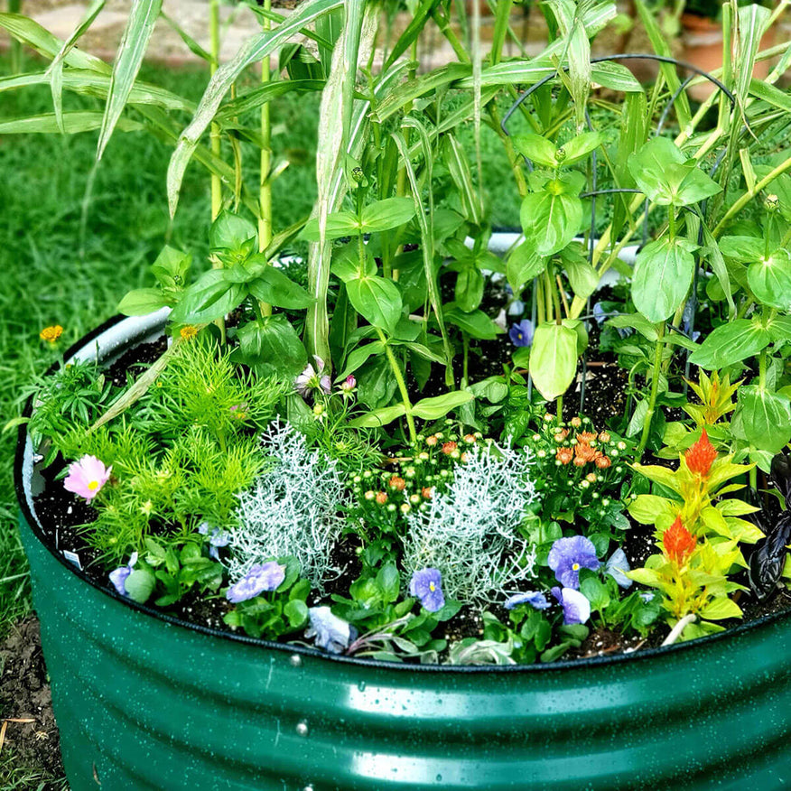 Wide Round Metal Raised Garden Bed Kit 17" Tall 42"