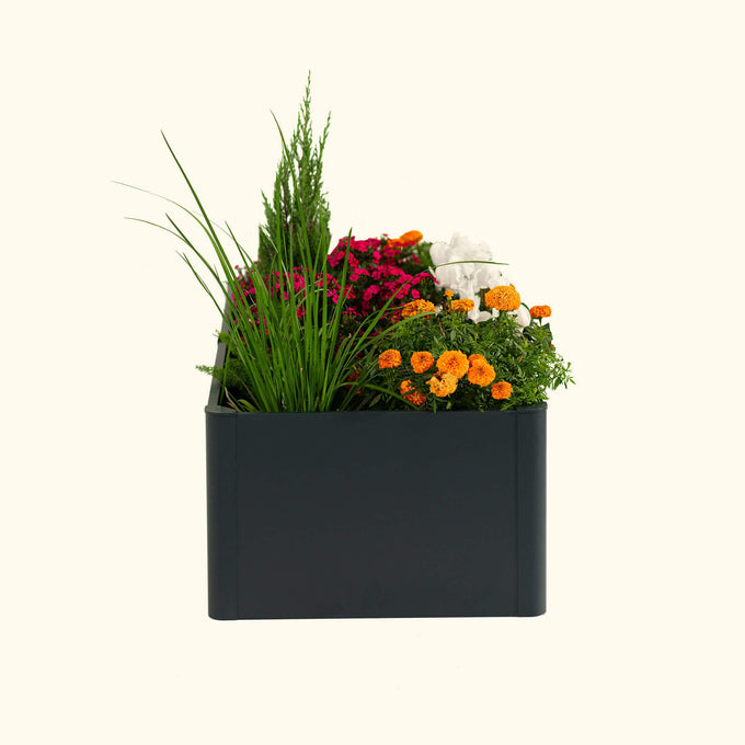 Modern Metal Raised Garden Bed 53" x 27" x 17"