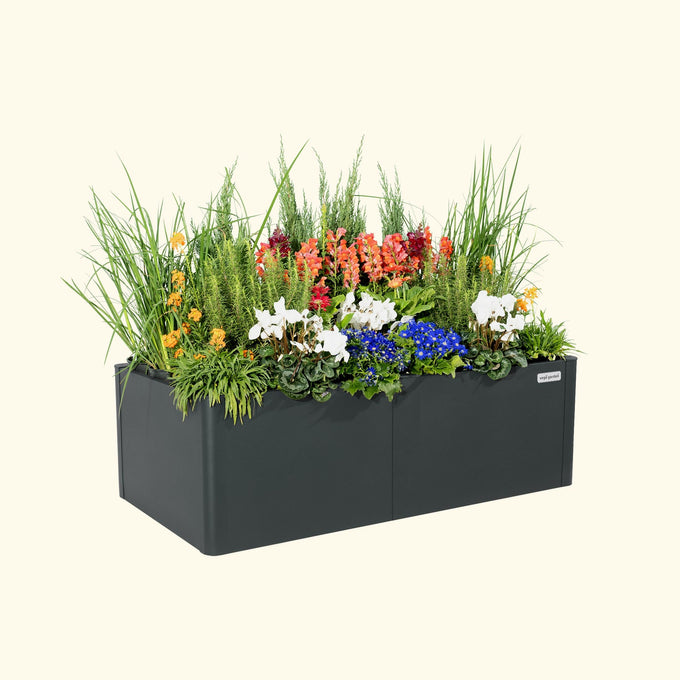 Modern Metal Raised Garden Bed 53" x 27" x 17"