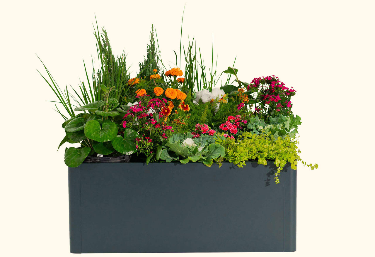 Modern Metal Raised Garden Bed 42" L x 42" W x 17"H