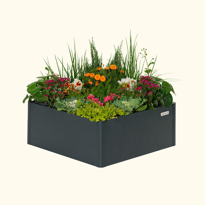 Modern Metal Raised Garden Bed 42" L x 42" W x 17"H