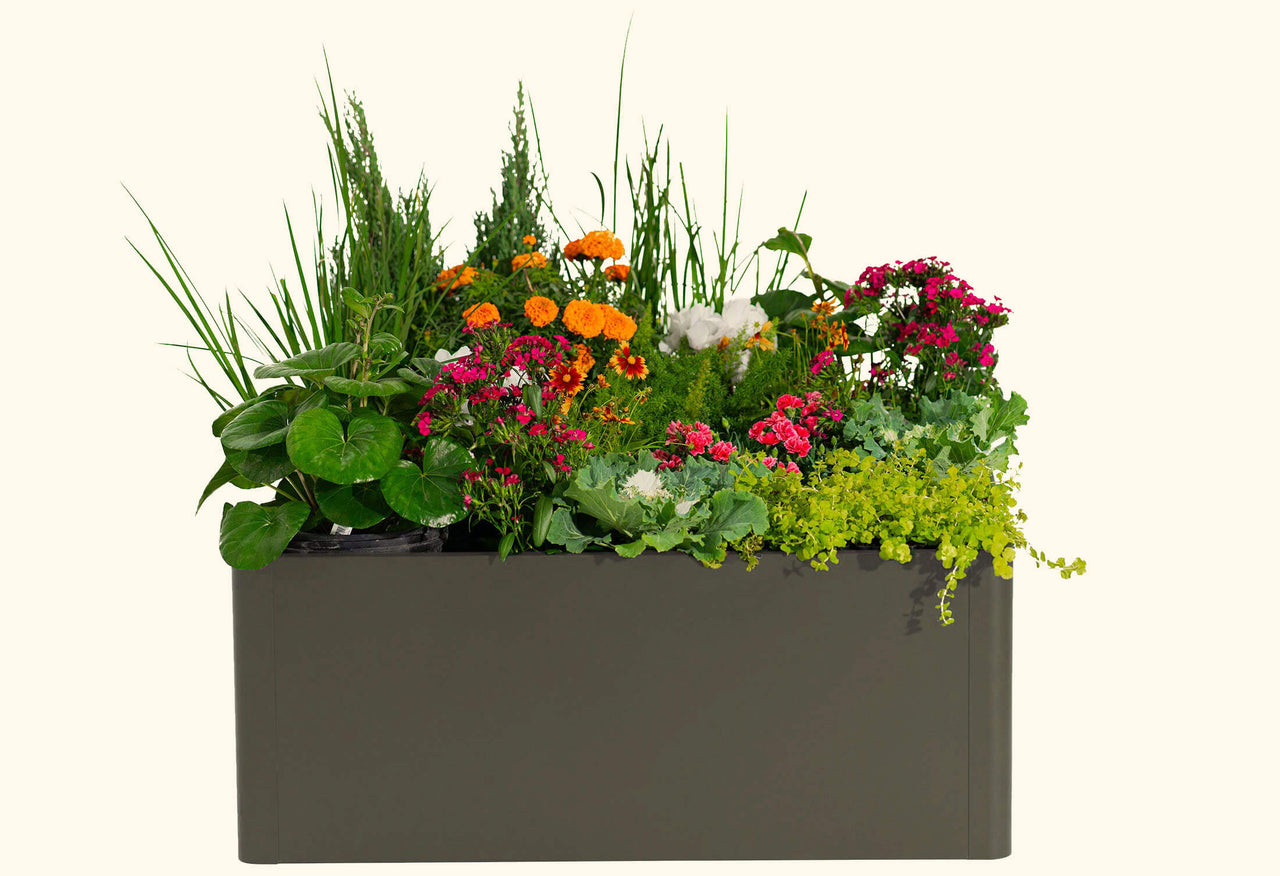 Modern Metal Raised Garden Bed 42" L x 42" W x 17"H