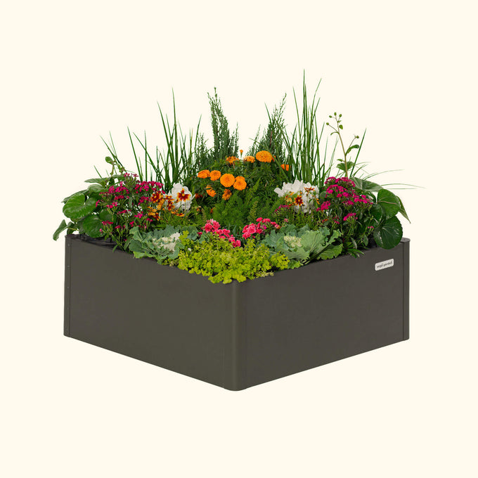 Modern Metal Raised Garden Bed 42" L x 42" W x 17"H