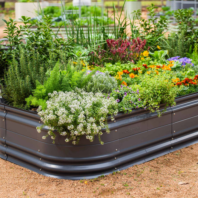 Medium Novel Modular Metal Raised Garden Bed Kit 17" Tall 6 In 1