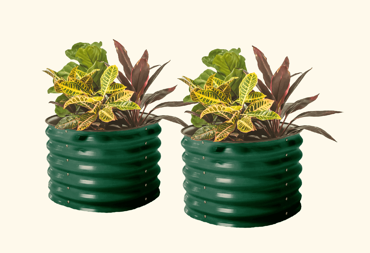 17" Tall Herb Garden Bed 24" Wide - Twin Pack
