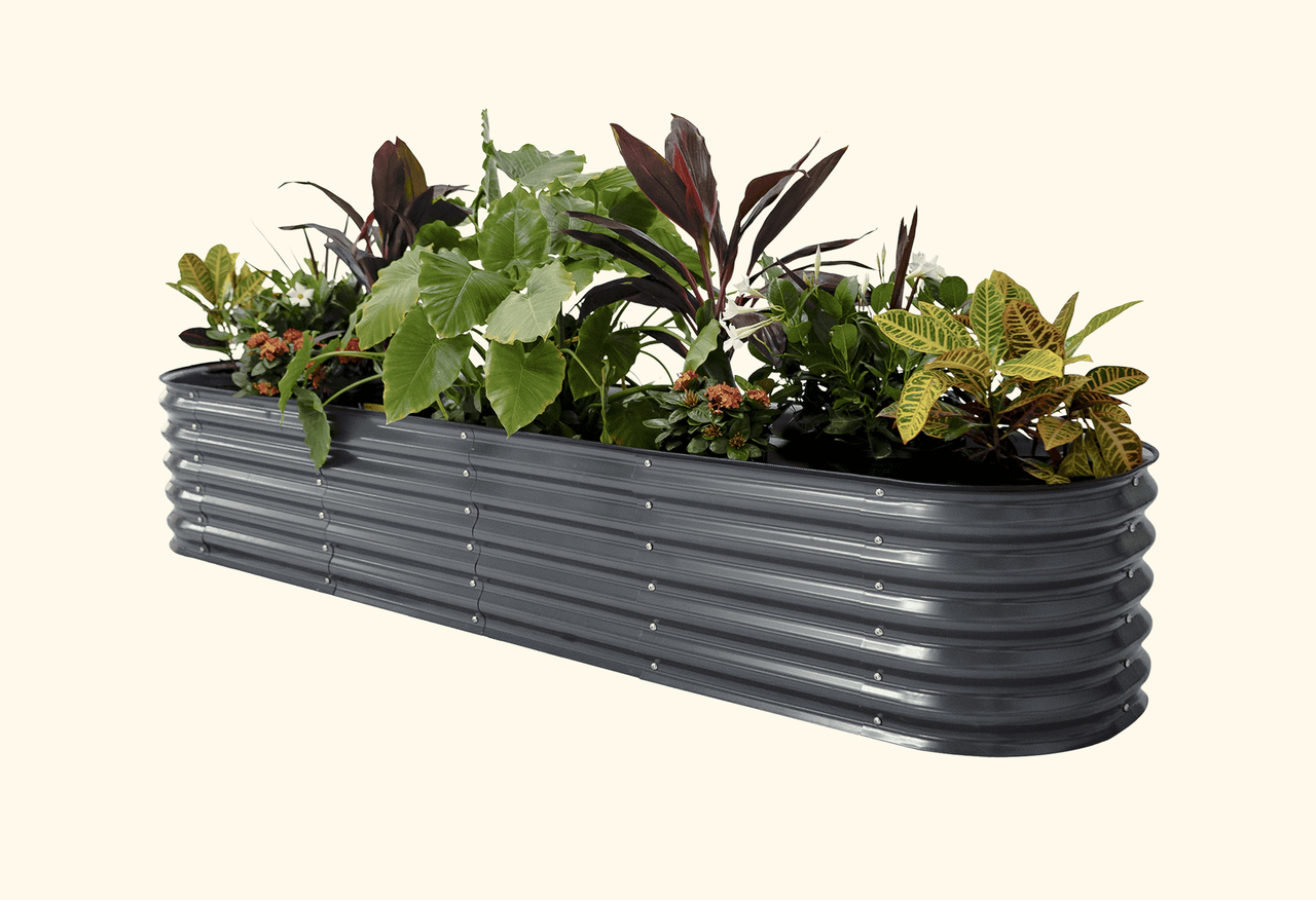 Self-Watering Garden Bed