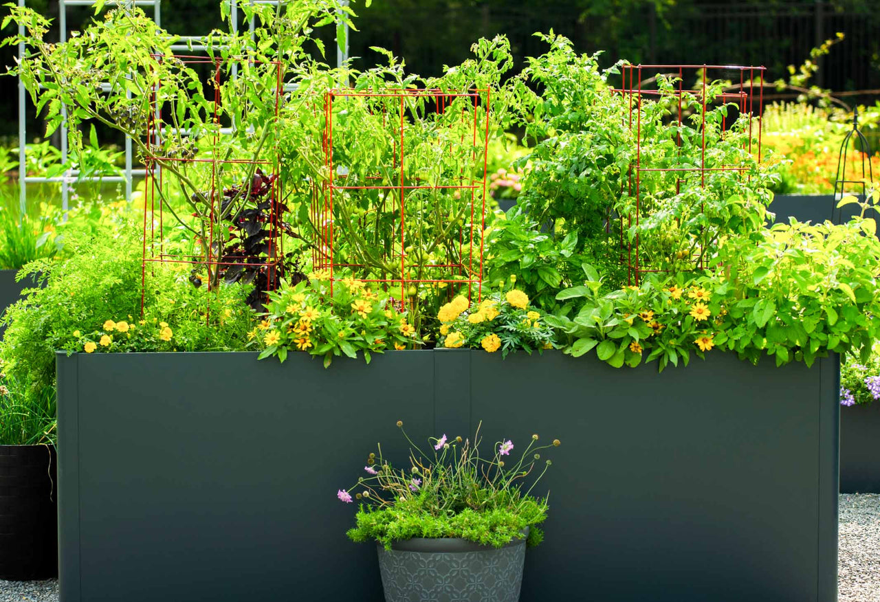 Extra Tall Modern Metal Raised Garden Bed 83" L x 42" W x 32" H