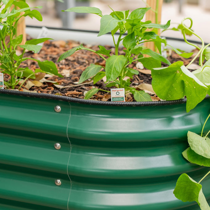 Advanced Elevated Garden Bed