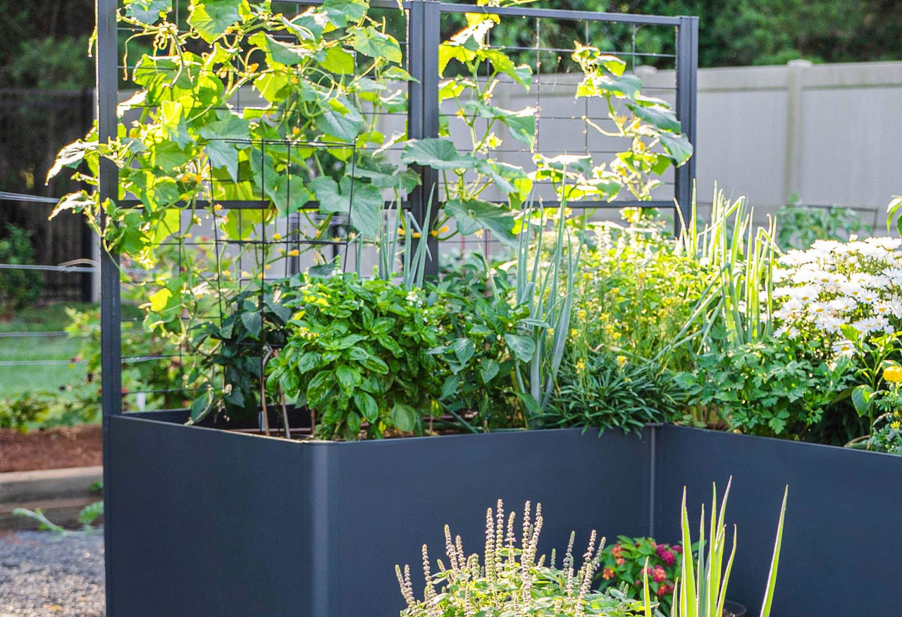 Vego Modern Privacy Trellis