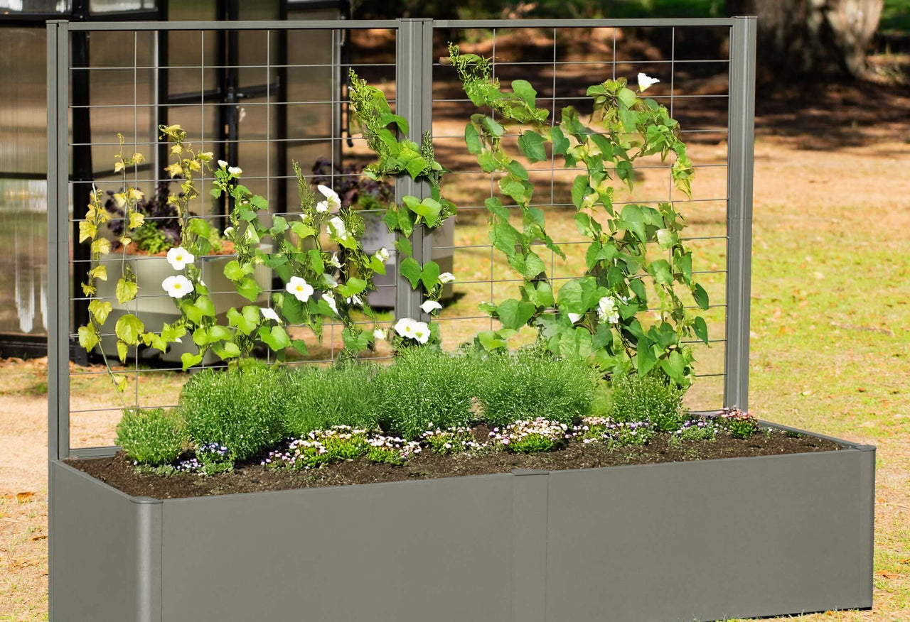 Vego Modern Privacy Trellis