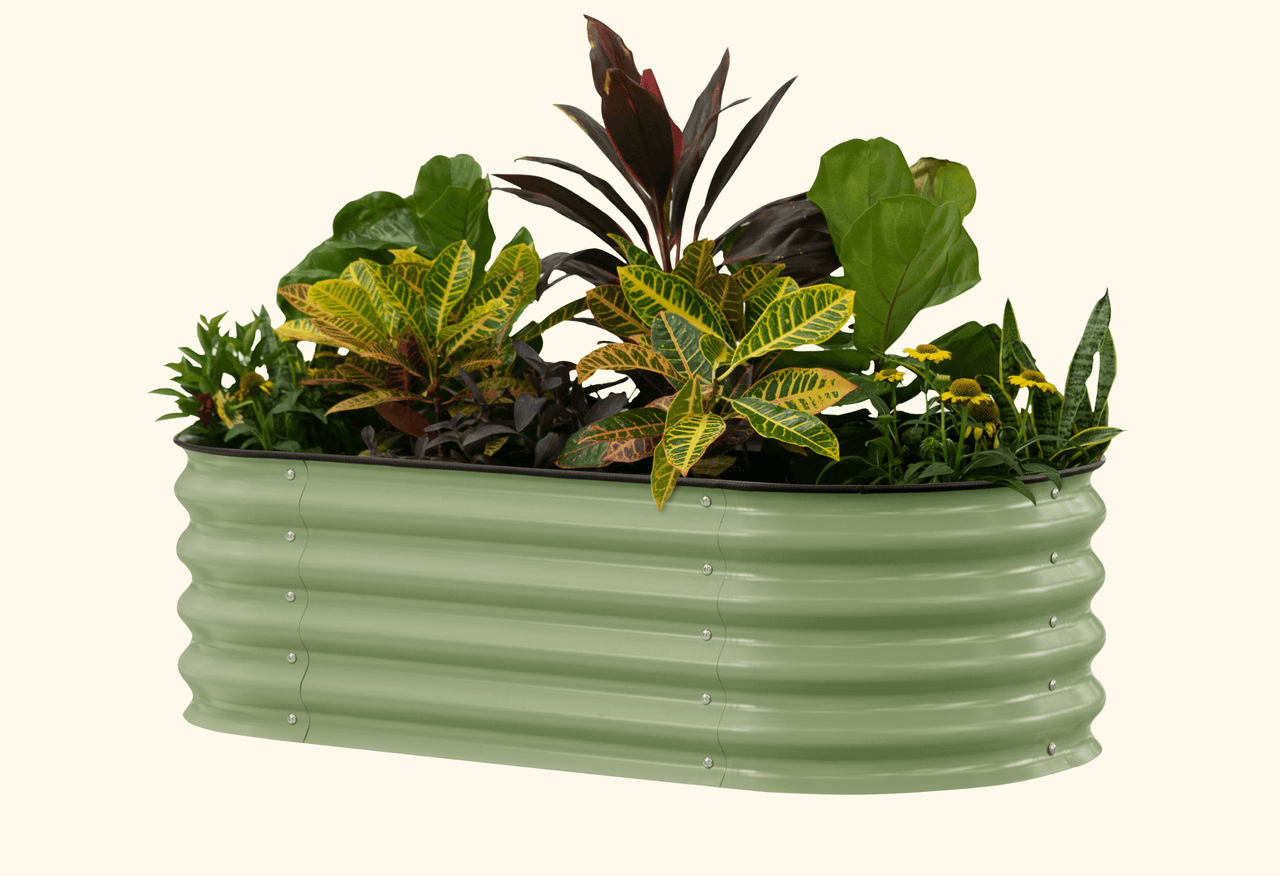Self-Watering Garden Bed