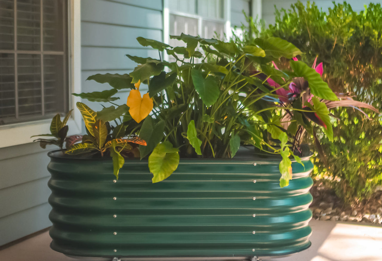 Self Watering Rolling Garden Bed