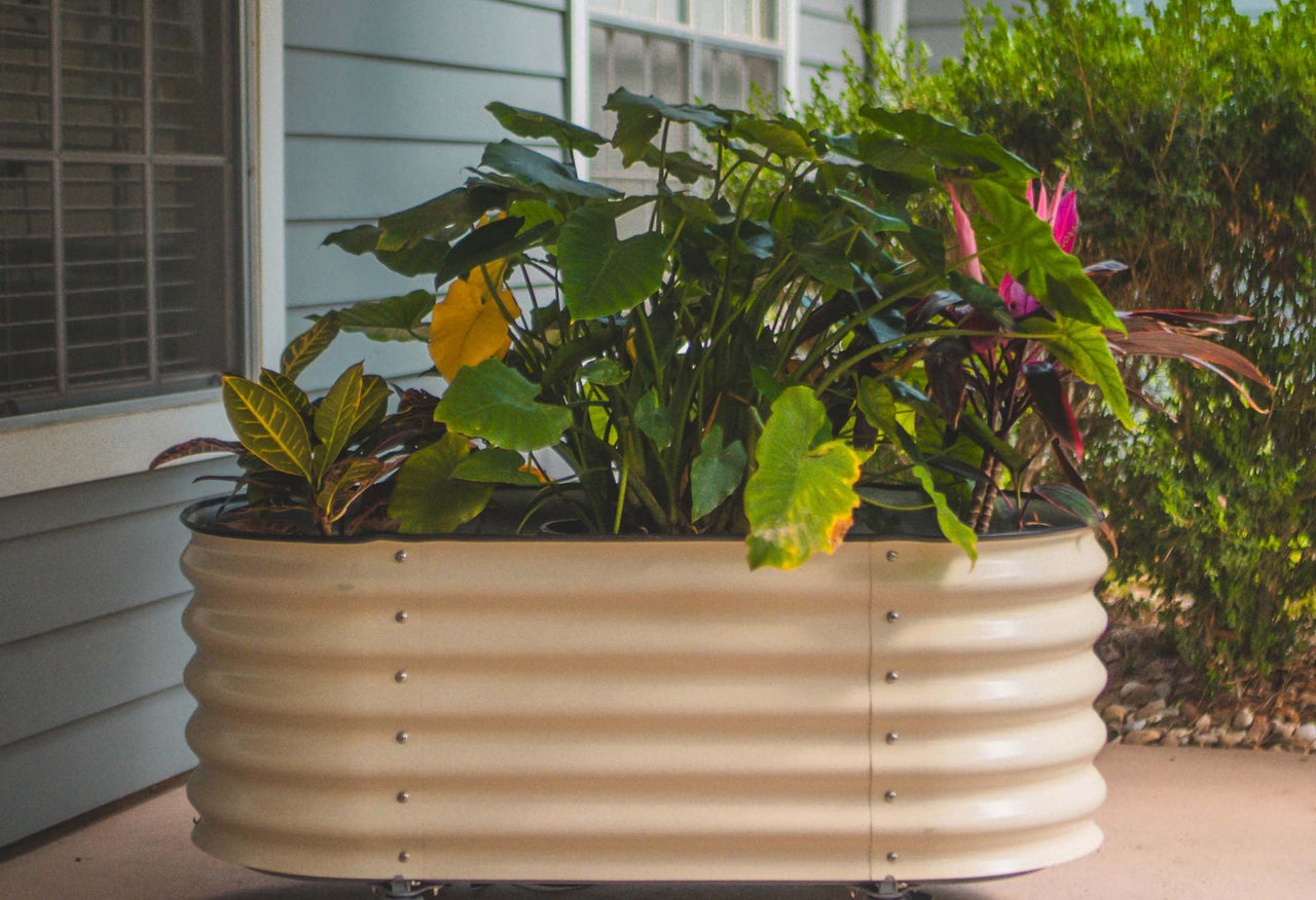 Self Watering Rolling Garden Bed
