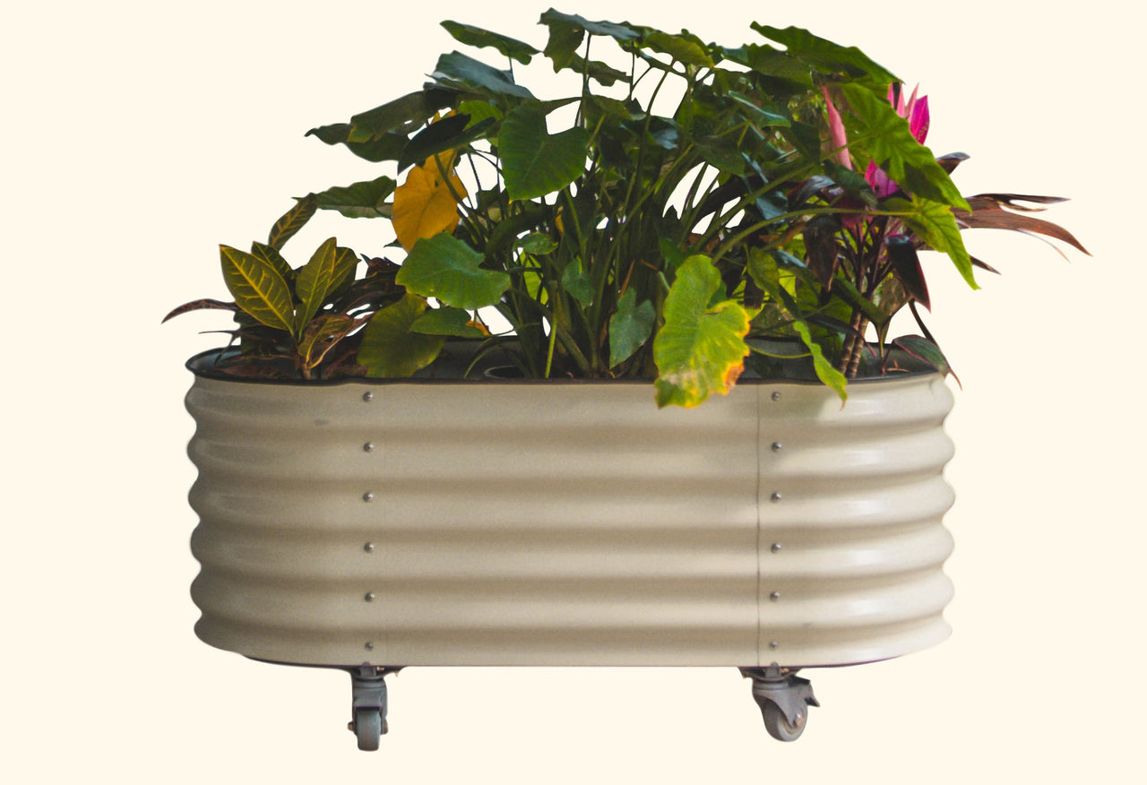 Self Watering Rolling Garden Bed